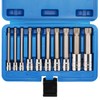 CASOMAN 10 Piece Spline Tip Bit Socket Set, M-Type, S2
