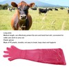 100Pcs Long Arm Disposable Plastic Gloves Safe Reliable Multipurpose Veterinary
