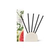 CIRCA 5 Replacement Scent Stems - Coconut & Watermelon