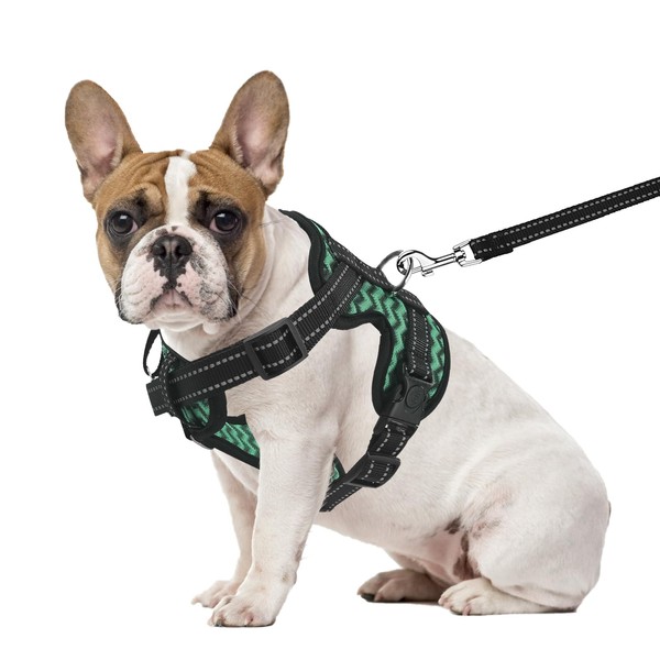PET'S HUB Small Dog Harness, No Pull Pet Harness With