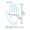 Daytona Motorcycle Gloves
