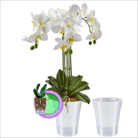 Santino Set of 2 Transparent Orchid Pots with Self-Watering Wick System Diameter 15 cm Transparent 2 L