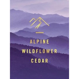 Febreze Small Spaces, Mountain Scent (1 count)