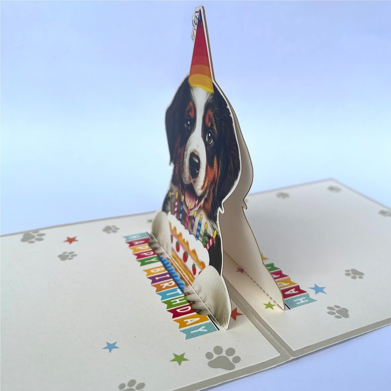 Crazytops Bernese Mountain Dog Birthday Card, Pop-Up, 6 x 6