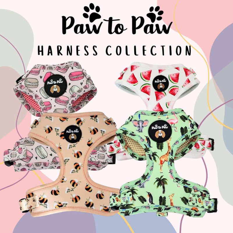 Adjustable macaroon dog harness/car suitable/for no pulling XXS- Medium (Small)