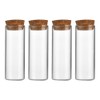 FSSTUD Pack of 10 Empty Clear Test Tubes Candy Spices