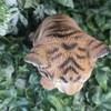 Vivid Arts Pet Pal Tiger Cub