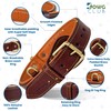 DowgClub | Genuine Leather Padded Buckle Dog Collar | Full