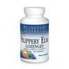 Planetary Herbals Slippery Elm Lozenges, Herbal Throat Support, 100 Lozenge