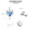 Hearbeingt Heart Cremation Jewelry Crystal Urn Necklace for Ashes Stainless