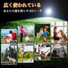 Stray Barking Prevention, Dog Ultrasonic Barking Prevention, Ultrasonic Barking Prevention
