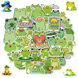 100 PCS Frog Stickers, Cute Animal Decoration Vinyl Waterproof Sticker for Water Bottle Laptop Guitar Phone Skateboard, Kids Gifts, 2025 Friend Frog Decor, for Teen Childrens Girls