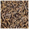 Everwilde Farms - 1 Lb Caraway Herb Seeds - Gold