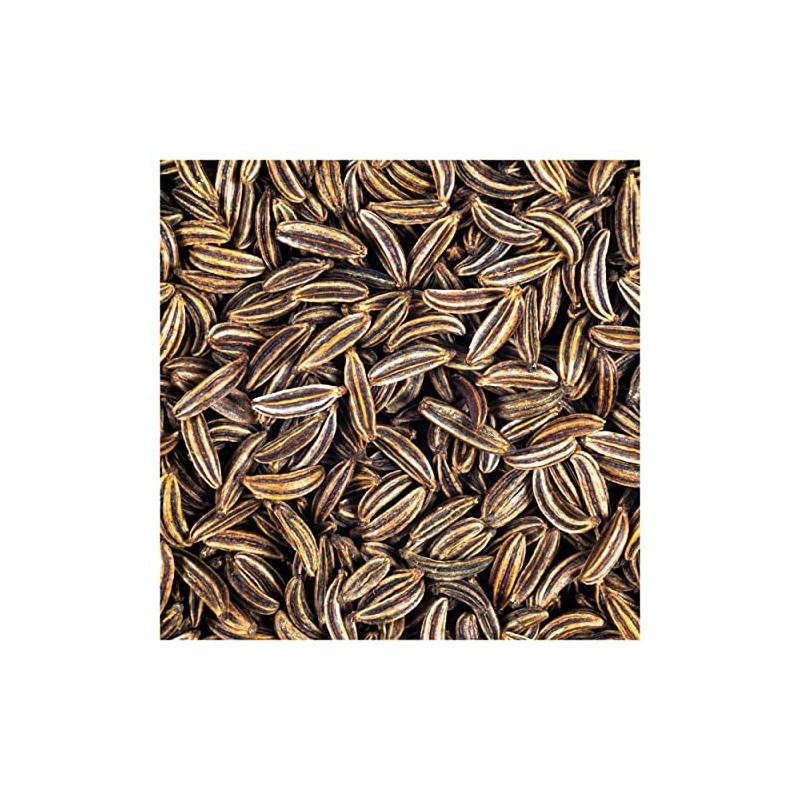 Everwilde Farms - 1 Lb Caraway Herb Seeds - Gold