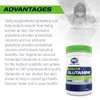 PVL 100% Pure Glutamine – Post-Workout Fermented Vegan Amino Acid