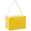 eBuyGB Lunch BBQ Camping Can Cooler Picnic Bag Box, Polyester,