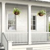 Arcadia Garden Products 1592 Solstice Series Coconut Hanging Basket 16-Inch