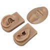 3D Nose and Mouth Model Silicone Ear Model Simulation Display