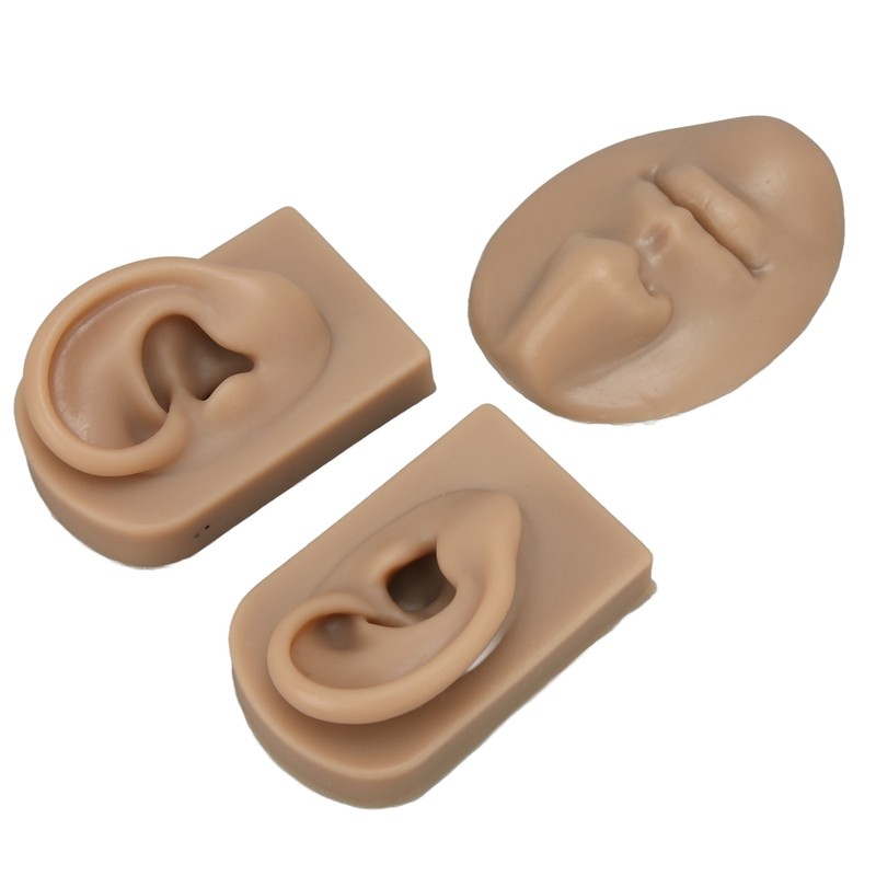 3D Nose and Mouth Model Silicone Ear Model Simulation Display