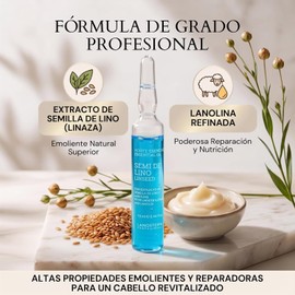 Lanosterín Profesional Aceite Esencial Semi de Lino - Tratamiento Capilar en Ampolletas con Extracto de Semilla de Lino y Lanolina - Acondicionamiento Profundo, Brillo y Reparación (12 Ampolletas x 13 ml)