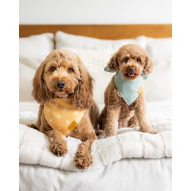 Remy+Roo Dog Bandanas - 4 Pack | Kathrine Set | Premium Durable Polyester Fabric | Custom Unique Shape | Adjustable Fit | Girl, Cooling, Puppy, Birthday | Small, Large, XL Sizes Offered (Large)