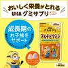 UHA味覚糖 UHAグミサプリKIDS ミニオン 20日分 (マルチビタミン)
