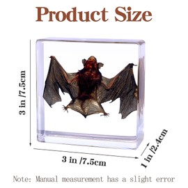 Taxidermy Bat,Real Bat Taxidermy Animals in Resin,Real Bat Specimen for Science Education,Biology Classroom,Specimen Enthusiasts,Décor,Great Gift,Oddities 2.95 x 2.95 x 0.94 inch