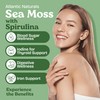 Atlantic Naturals Sea Moss with Spirulina Superfood Capsules - Multivitamin