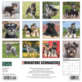 Just Miniature Schnauzers 2023 Wall Calendar