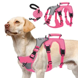 PUPTECK Escape Proof Dog Harness and Leash Set Upgraded No Pull Reflective Dog Vest with Lift Handle, Easy Control Pet Harness for Medium Large Dogs Training Walking Running, Fuchsia, L