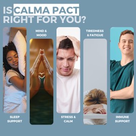 Stress, Calm, Cortisol & Sleep Support Supplement – Ashwagandha High Strength Complex KSM-66 with Magnesium Glycinate, L Theanine, Lemon Balm, L Tryptophan, Rhodiola, Zinc, D3 & B6 – 60 Vegan Capsules