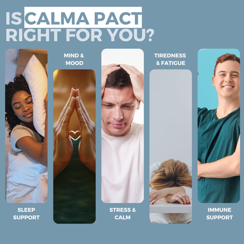Stress, Calm, Cortisol & Sleep Support Supplement – Ashwagandha High