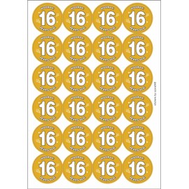 Hooray 16 Sixteen Sixteenth 16th Birthday Circular Matt Paper Stickers A4 Sheet of 24 (Each Sticker is 45mm Diameter)