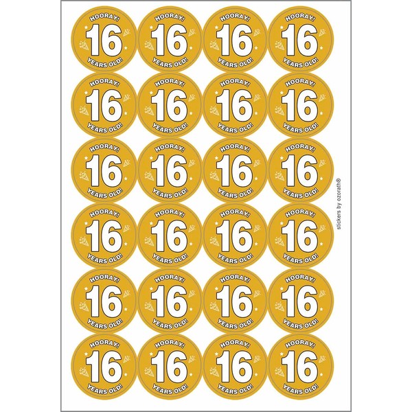 Hooray 16 Sixteen Sixteenth 16th Birthday Circular Matt Paper Stickers