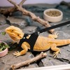 BOXOB 3pcs Bearded Dragon Harness & Leash Set, 3 Sizes