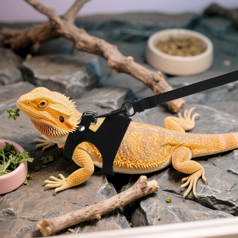 BOXOB 3pcs Bearded Dragon Harness & Leash Set, 3 Sizes