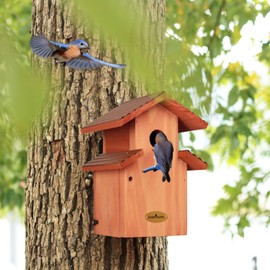 Cedar Comfy Mansion Bluebird House, Rustic Proof Nestbox, Water Proof, Outdoor Lifetime Durability Solid Cedar Wood Bird House, Secure Latch, Vintage Rustic Style,Outdoor Decorations