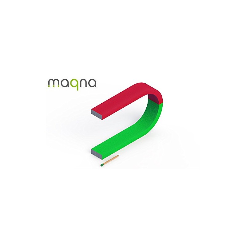 Horseshoe Magnet – School Magnet for Experiments – 100 mm