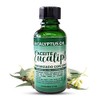 Eucalyptus Oil Aceite de Eucalipto Ciprés para Aliviar Congestión Nasal