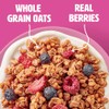 Wilde Terra Triple Berry Granola, 15g Protein, No Added Sugar,