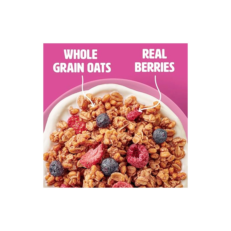Wilde Terra Triple Berry Granola, 15g Protein, No Added Sugar,