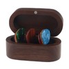 MYLYWOO Guitar Picks Holder with 7 Picks in 4 Thicknesses,