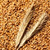 Faro Enzyme Faro Emmermill Grain Fermentation Digestive Enzyme Powder Powder