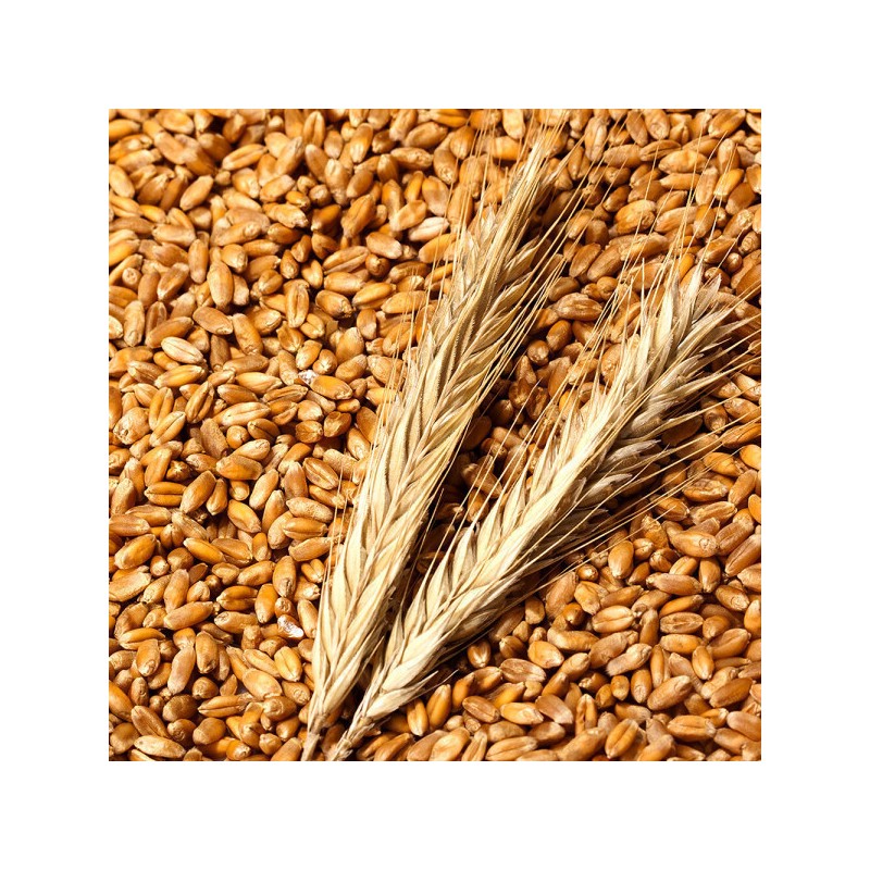 Faro Enzyme Faro Emmermill Grain Fermentation Digestive Enzyme Powder Powder