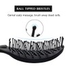 FIXBODY Curved Vent Hair Brush for Blow Drying, Styling and