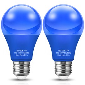 DORESshop Blue Light Bulbs, 9W (60 Watt Equivalent) - E26 Base Blue LED Bulb, 720LM Outdoor for Halloween Decor, Poolside, Summer BBQs, Holiday Lighting, Non-Dimmable, 2 Pack