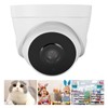 Wifi Wireless Camera 1080P Night Vision Impact Resistant Surveillance Camera