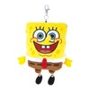 Tees Factory SB-5544344 Plush Pass Case H 7.5 x W