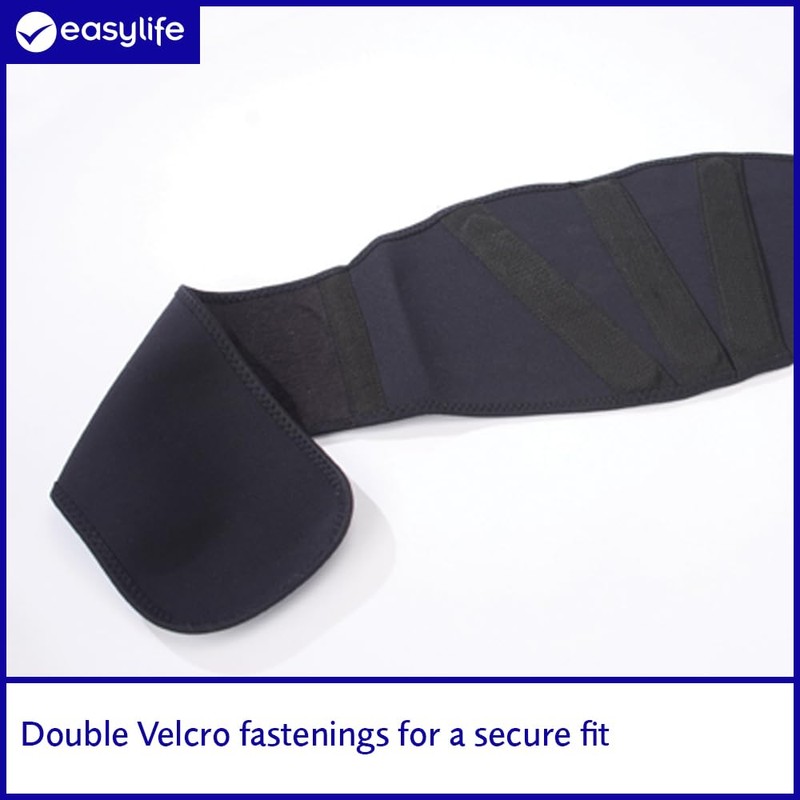 easylife lifestyle solutions Titanium Back Support | Good Posture and