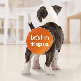 VanBeek DiaGel 1mL Anti Diarrhea Gel For Small Dogs